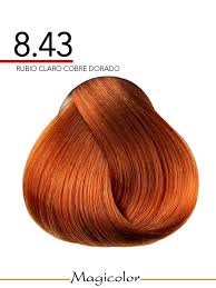 MagiColor Professional Permanent Creme Hair Colour 8.43 Golden Copper Blonde 100ml